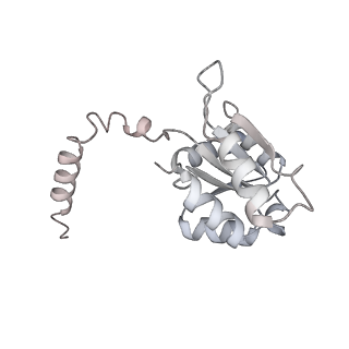 34403_8gzu_70_v1-0
Cryo-EM structure of Tetrahymena thermophila respiratory Megacomplex MC (IV2+I+III2+II)2