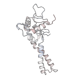 34403_8gzu_71_v1-0
Cryo-EM structure of Tetrahymena thermophila respiratory Megacomplex MC (IV2+I+III2+II)2