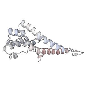 34403_8gzu_72_v1-0
Cryo-EM structure of Tetrahymena thermophila respiratory Megacomplex MC (IV2+I+III2+II)2