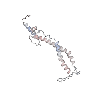34403_8gzu_74_v1-0
Cryo-EM structure of Tetrahymena thermophila respiratory Megacomplex MC (IV2+I+III2+II)2