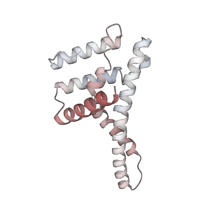34403_8gzu_75_v1-0
Cryo-EM structure of Tetrahymena thermophila respiratory Megacomplex MC (IV2+I+III2+II)2