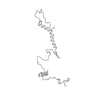 34403_8gzu_76_v1-0
Cryo-EM structure of Tetrahymena thermophila respiratory Megacomplex MC (IV2+I+III2+II)2