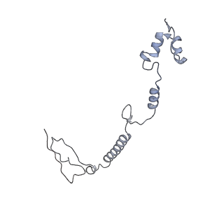 34403_8gzu_7A_v1-0
Cryo-EM structure of Tetrahymena thermophila respiratory Megacomplex MC (IV2+I+III2+II)2