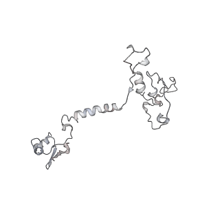34403_8gzu_7C_v1-0
Cryo-EM structure of Tetrahymena thermophila respiratory Megacomplex MC (IV2+I+III2+II)2