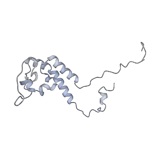 34403_8gzu_7L_v1-0
Cryo-EM structure of Tetrahymena thermophila respiratory Megacomplex MC (IV2+I+III2+II)2