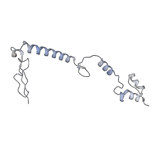 34403_8gzu_7a_v1-0
Cryo-EM structure of Tetrahymena thermophila respiratory Megacomplex MC (IV2+I+III2+II)2