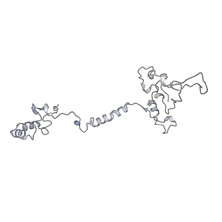 34403_8gzu_7c_v1-0
Cryo-EM structure of Tetrahymena thermophila respiratory Megacomplex MC (IV2+I+III2+II)2