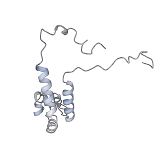 34403_8gzu_7l_v1-0
Cryo-EM structure of Tetrahymena thermophila respiratory Megacomplex MC (IV2+I+III2+II)2