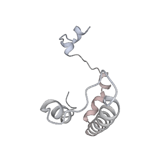 34403_8gzu_80_v1-0
Cryo-EM structure of Tetrahymena thermophila respiratory Megacomplex MC (IV2+I+III2+II)2