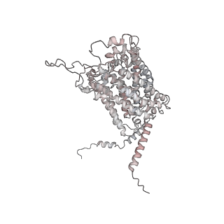 34403_8gzu_81_v1-0
Cryo-EM structure of Tetrahymena thermophila respiratory Megacomplex MC (IV2+I+III2+II)2