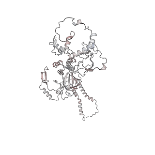 34403_8gzu_82_v1-0
Cryo-EM structure of Tetrahymena thermophila respiratory Megacomplex MC (IV2+I+III2+II)2