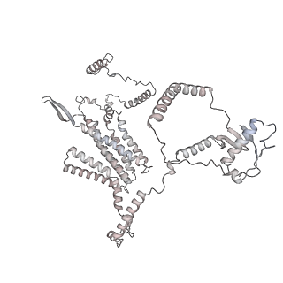 34403_8gzu_83_v1-0
Cryo-EM structure of Tetrahymena thermophila respiratory Megacomplex MC (IV2+I+III2+II)2