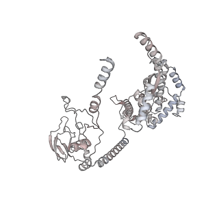 34403_8gzu_84_v1-0
Cryo-EM structure of Tetrahymena thermophila respiratory Megacomplex MC (IV2+I+III2+II)2