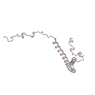 34403_8gzu_85_v1-0
Cryo-EM structure of Tetrahymena thermophila respiratory Megacomplex MC (IV2+I+III2+II)2