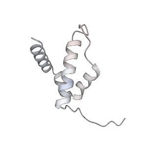 34403_8gzu_88_v1-0
Cryo-EM structure of Tetrahymena thermophila respiratory Megacomplex MC (IV2+I+III2+II)2