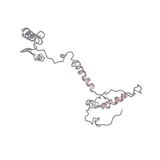 34403_8gzu_90_v1-0
Cryo-EM structure of Tetrahymena thermophila respiratory Megacomplex MC (IV2+I+III2+II)2