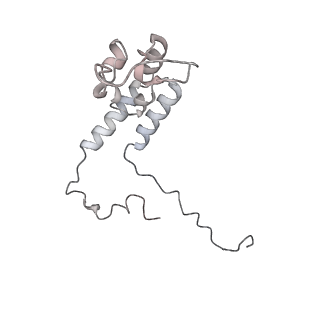 34403_8gzu_91_v1-0
Cryo-EM structure of Tetrahymena thermophila respiratory Megacomplex MC (IV2+I+III2+II)2