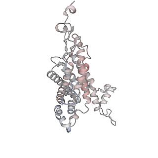 34403_8gzu_92_v1-0
Cryo-EM structure of Tetrahymena thermophila respiratory Megacomplex MC (IV2+I+III2+II)2