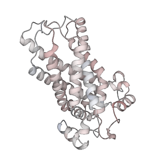34403_8gzu_93_v1-0
Cryo-EM structure of Tetrahymena thermophila respiratory Megacomplex MC (IV2+I+III2+II)2
