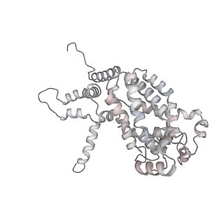 34403_8gzu_94_v1-0
Cryo-EM structure of Tetrahymena thermophila respiratory Megacomplex MC (IV2+I+III2+II)2