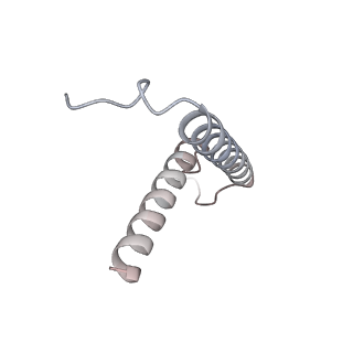 34403_8gzu_96_v1-0
Cryo-EM structure of Tetrahymena thermophila respiratory Megacomplex MC (IV2+I+III2+II)2