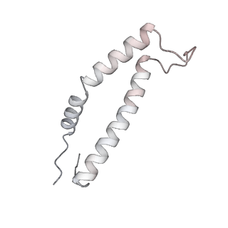34403_8gzu_97_v1-0
Cryo-EM structure of Tetrahymena thermophila respiratory Megacomplex MC (IV2+I+III2+II)2