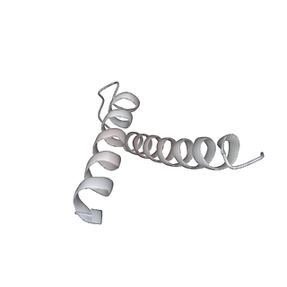 34403_8gzu_98_v1-0
Cryo-EM structure of Tetrahymena thermophila respiratory Megacomplex MC (IV2+I+III2+II)2