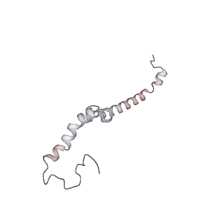 34403_8gzu_A1_v1-0
Cryo-EM structure of Tetrahymena thermophila respiratory Megacomplex MC (IV2+I+III2+II)2