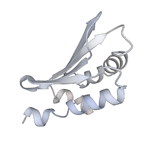 34403_8gzu_A2_v1-0
Cryo-EM structure of Tetrahymena thermophila respiratory Megacomplex MC (IV2+I+III2+II)2