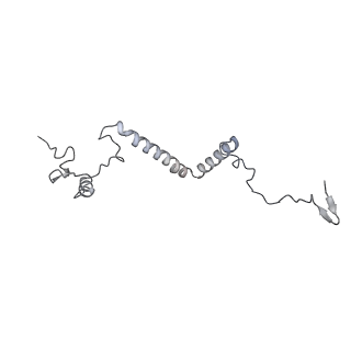 34403_8gzu_A3_v1-0
Cryo-EM structure of Tetrahymena thermophila respiratory Megacomplex MC (IV2+I+III2+II)2