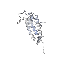 34403_8gzu_A5_v1-0
Cryo-EM structure of Tetrahymena thermophila respiratory Megacomplex MC (IV2+I+III2+II)2