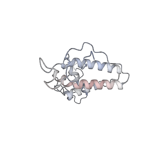 34403_8gzu_A6_v1-0
Cryo-EM structure of Tetrahymena thermophila respiratory Megacomplex MC (IV2+I+III2+II)2