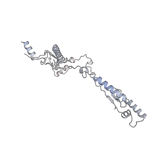 34403_8gzu_A7_v1-0
Cryo-EM structure of Tetrahymena thermophila respiratory Megacomplex MC (IV2+I+III2+II)2