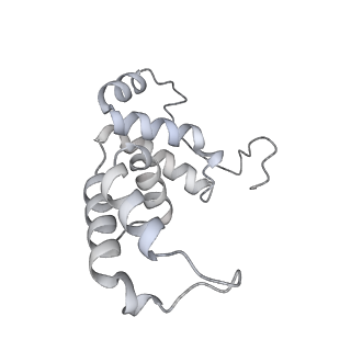 34403_8gzu_A8_v1-0
Cryo-EM structure of Tetrahymena thermophila respiratory Megacomplex MC (IV2+I+III2+II)2