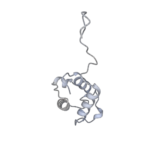 34403_8gzu_AC_v1-0
Cryo-EM structure of Tetrahymena thermophila respiratory Megacomplex MC (IV2+I+III2+II)2