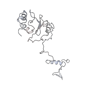 34403_8gzu_AL_v1-0
Cryo-EM structure of Tetrahymena thermophila respiratory Megacomplex MC (IV2+I+III2+II)2