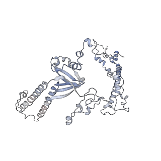 34403_8gzu_A_v1-0
Cryo-EM structure of Tetrahymena thermophila respiratory Megacomplex MC (IV2+I+III2+II)2