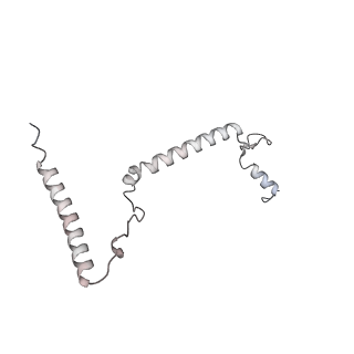 34403_8gzu_B2_v1-0
Cryo-EM structure of Tetrahymena thermophila respiratory Megacomplex MC (IV2+I+III2+II)2