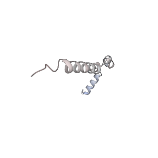34403_8gzu_B3_v1-0
Cryo-EM structure of Tetrahymena thermophila respiratory Megacomplex MC (IV2+I+III2+II)2