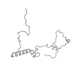 34403_8gzu_B4_v1-0
Cryo-EM structure of Tetrahymena thermophila respiratory Megacomplex MC (IV2+I+III2+II)2