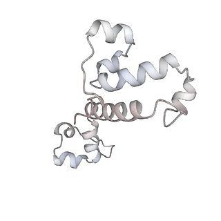 34403_8gzu_B7_v1-0
Cryo-EM structure of Tetrahymena thermophila respiratory Megacomplex MC (IV2+I+III2+II)2