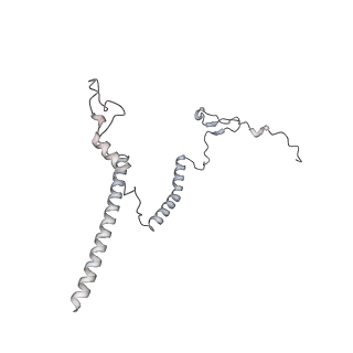 34403_8gzu_B8_v1-0
Cryo-EM structure of Tetrahymena thermophila respiratory Megacomplex MC (IV2+I+III2+II)2