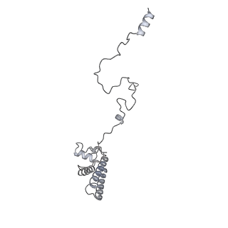 34403_8gzu_B9_v1-0
Cryo-EM structure of Tetrahymena thermophila respiratory Megacomplex MC (IV2+I+III2+II)2