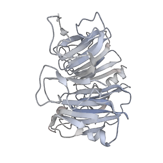 34403_8gzu_BP_v1-0
Cryo-EM structure of Tetrahymena thermophila respiratory Megacomplex MC (IV2+I+III2+II)2