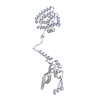 34403_8gzu_B_v1-0
Cryo-EM structure of Tetrahymena thermophila respiratory Megacomplex MC (IV2+I+III2+II)2