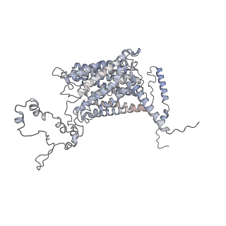 34403_8gzu_C1_v1-0
Cryo-EM structure of Tetrahymena thermophila respiratory Megacomplex MC (IV2+I+III2+II)2
