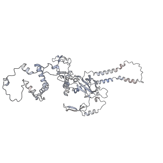 34403_8gzu_C2_v1-0
Cryo-EM structure of Tetrahymena thermophila respiratory Megacomplex MC (IV2+I+III2+II)2