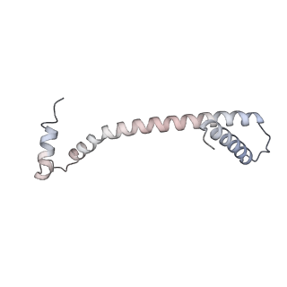 34403_8gzu_C4_v1-0
Cryo-EM structure of Tetrahymena thermophila respiratory Megacomplex MC (IV2+I+III2+II)2