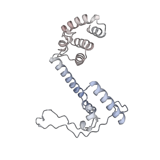 34403_8gzu_C_v1-0
Cryo-EM structure of Tetrahymena thermophila respiratory Megacomplex MC (IV2+I+III2+II)2