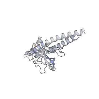 34403_8gzu_D_v1-0
Cryo-EM structure of Tetrahymena thermophila respiratory Megacomplex MC (IV2+I+III2+II)2
